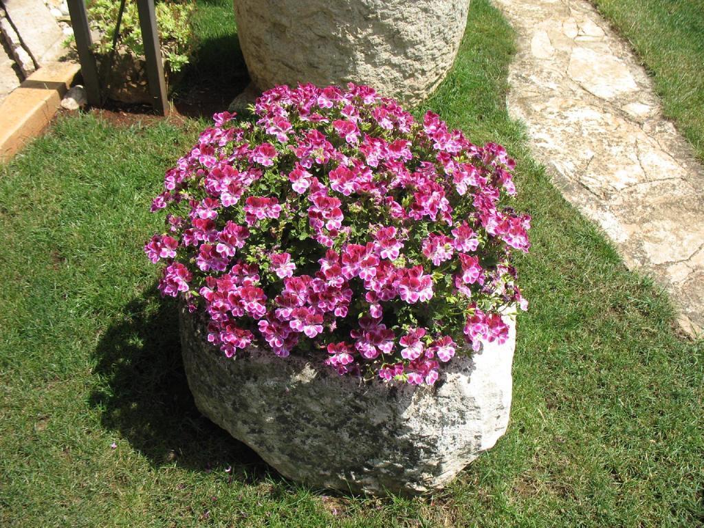 Apartmani Villa Otilija Poreč Exterior foto